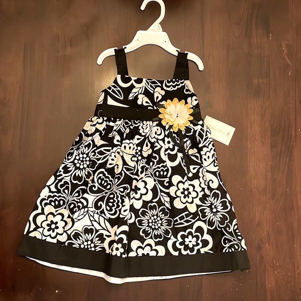 Toddler Dress Kohl’s Sophie Rose never worn